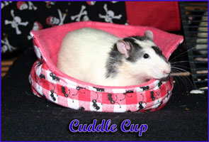 Cuddle Cup With Rat