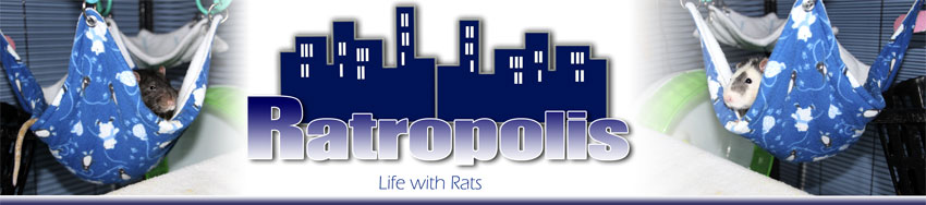 Ratropolis: Living with Rats
