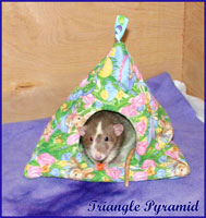 Triangle Pyramid With Rat