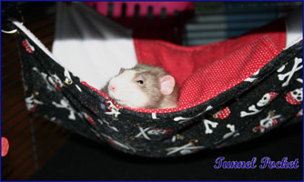 Tunnel Pocket Hammock Hanging